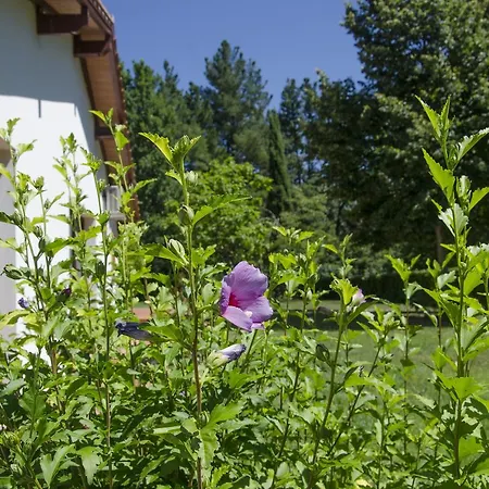 Nocleg ze śniadaniem B&B Villa Juliet *